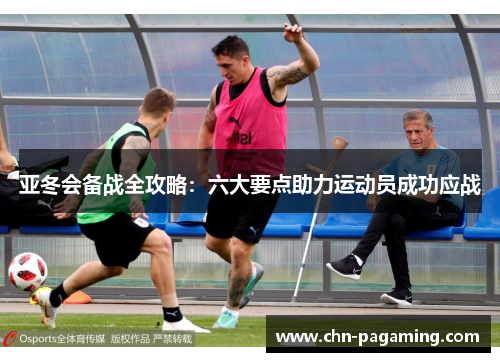 亚冬会备战全攻略：六大要点助力运动员成功应战