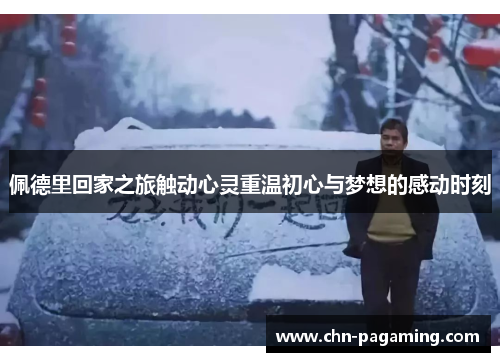 佩德里回家之旅触动心灵重温初心与梦想的感动时刻