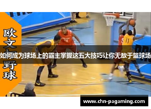 如何成为球场上的霸主掌握这五大技巧让你无敌于篮球场