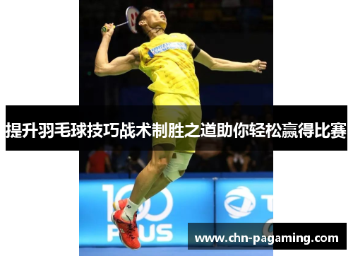 提升羽毛球技巧战术制胜之道助你轻松赢得比赛