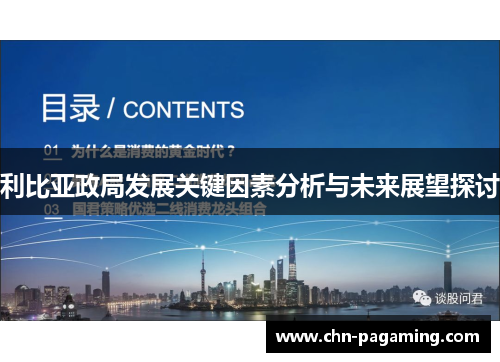 利比亚政局发展关键因素分析与未来展望探讨