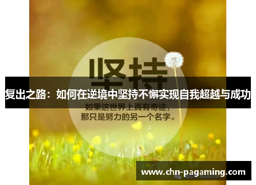 复出之路：如何在逆境中坚持不懈实现自我超越与成功