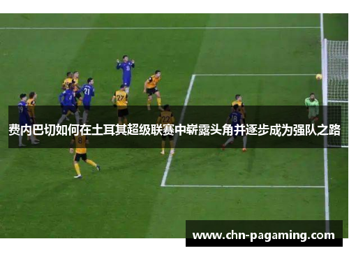 费内巴切如何在土耳其超级联赛中崭露头角并逐步成为强队之路