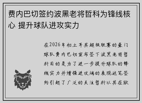 费内巴切签约波黑老将哲科为锋线核心 提升球队进攻实力